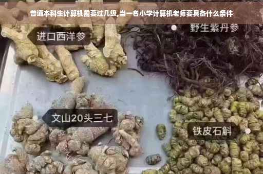 普通本科生计算机需要过几级,当一名小学计算机老师要具备什么条件