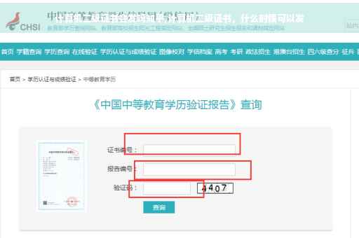 计算机二级证书会发吗知乎,计算机二级证书，什么时候可以发