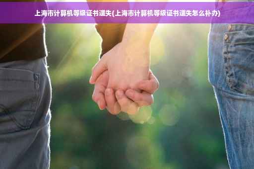 上海市计算机等级证书遗失(上海市计算机等级证书遗失怎么补办)