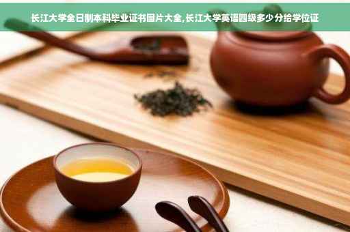 长江大学全日制本科毕业证书图片大全,长江大学英语四级多少分给学位证