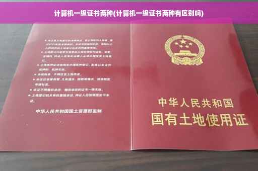 计算机一级证书两种(计算机一级证书两种有区别吗)