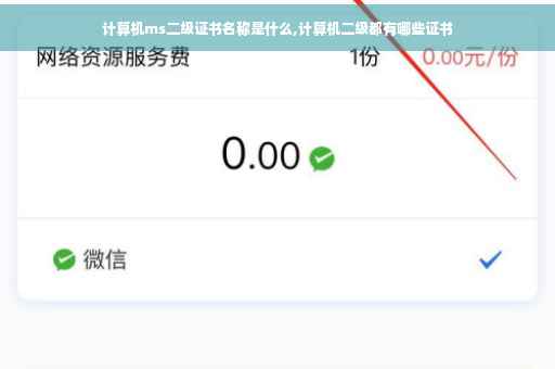 计算机ms二级证书名称是什么,计算机二级都有哪些证书