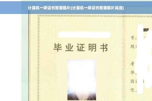 计算机一级证书背面图片(计算机一级证书背面图片高清)