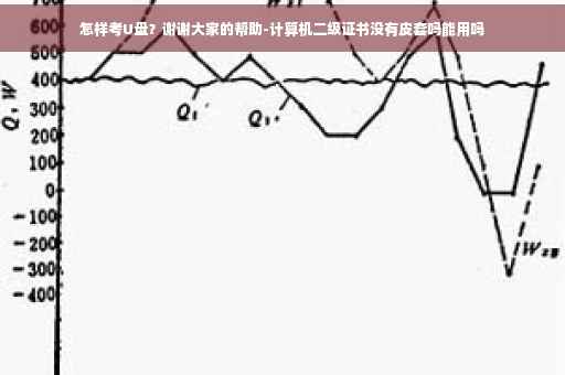 怎样考U盘？谢谢大家的帮助-计算机二级证书没有皮套吗能用吗