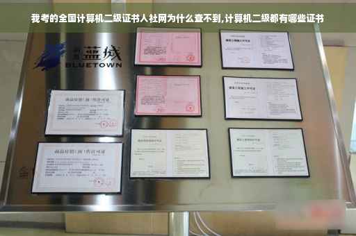 我考的全国计算机二级证书人社网为什么查不到,计算机二级都有哪些证书