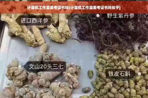 计算机工作需要考证书吗(计算机工作需要考证书吗知乎)