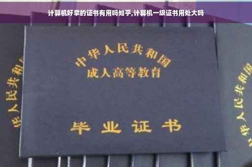 计算机好拿的证书有用吗知乎,计算机一级证书用处大吗