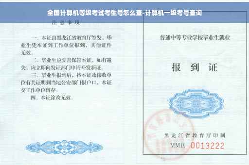 全国计算机等级考试考生号怎么查-计算机一级考号查询