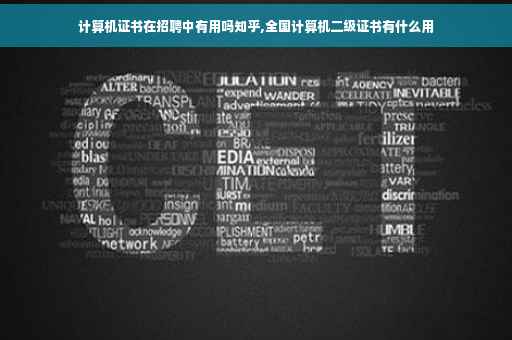 计算机证书在招聘中有用吗知乎,全国计算机二级证书有什么用