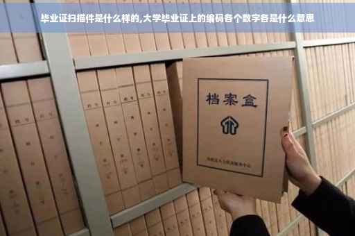 毕业证扫描件是什么样的,大学毕业证上的编码各个数字各是什么意思