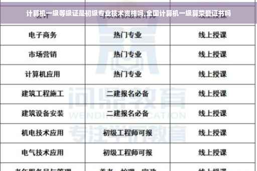 计算机一级等级证是初级专业技术资格吗,全国计算机一级算荣誉证书吗