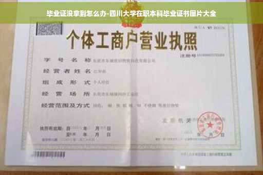 毕业证没拿到怎么办-四川大学在职本科毕业证书图片大全