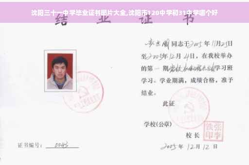 沈阳三十一中学毕业证书图片大全,沈阳市120中学和31中学哪个好