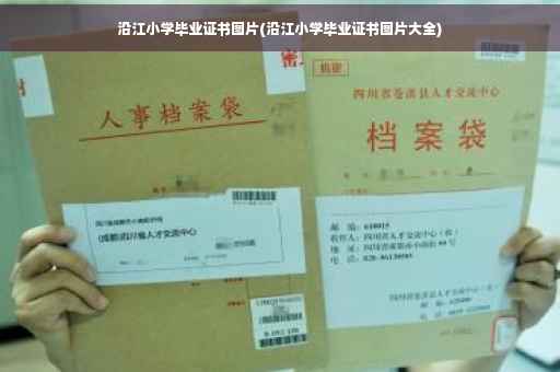 沿江小学毕业证书图片(沿江小学毕业证书图片大全)