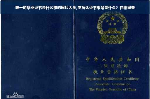 唯一的毕业证书是什么样的图片大全,学历认证书编号是什么？在哪里查