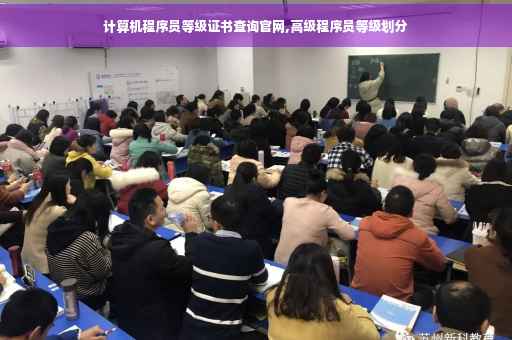 计算机程序员等级证书查询官网,高级程序员等级划分