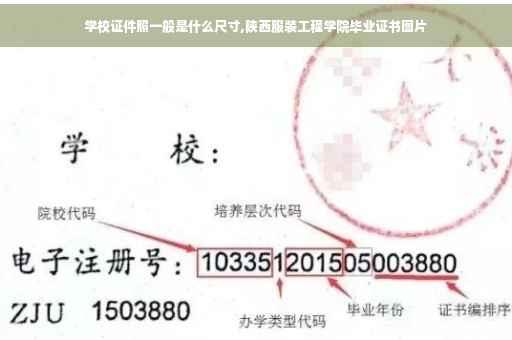 学校证件照一般是什么尺寸,陕西服装工程学院毕业证书图片