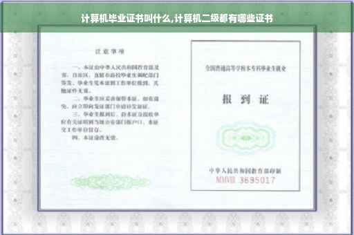 计算机毕业证书叫什么,计算机二级都有哪些证书