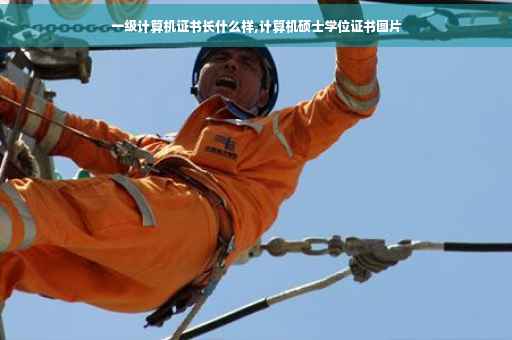 一级计算机证书长什么样,计算机硕士学位证书图片