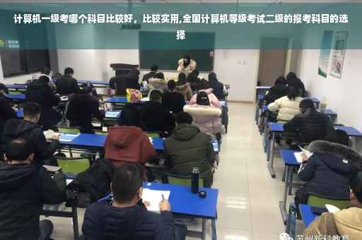 计算机一级考哪个科目比较好，比较实用,全国计算机等级考试二级的报考科目的选择