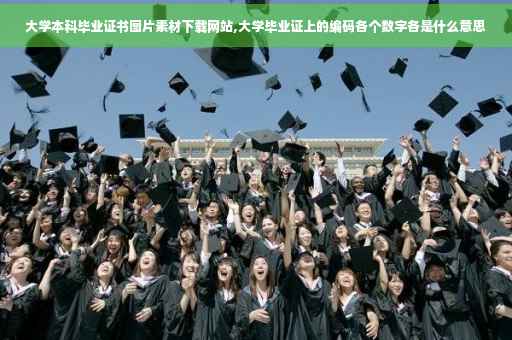 大学本科毕业证书图片素材下载网站,大学毕业证上的编码各个数字各是什么意思