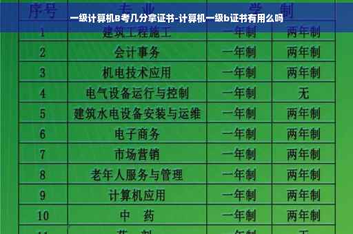 一级计算机B考几分拿证书-计算机一级b证书有用么吗