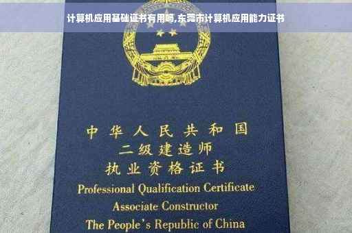 计算机应用基础证书有用吗,东莞市计算机应用能力证书