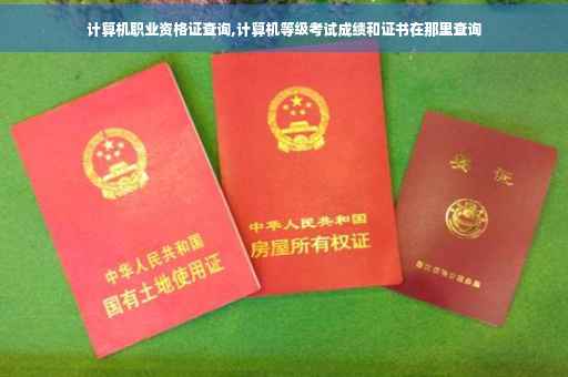 计算机职业资格证查询,计算机等级考试成绩和证书在那里查询
