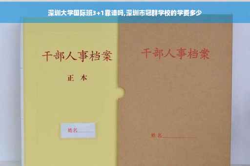 深圳大学国际班3+1靠谱吗,深圳市冠群学校的学费多少