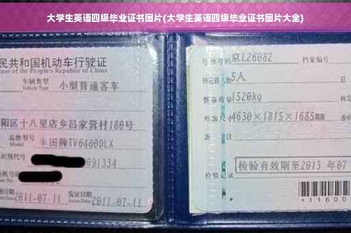 大学生英语四级毕业证书图片(大学生英语四级毕业证书图片大全)