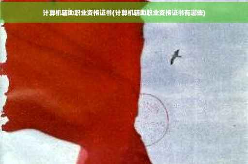 计算机辅助职业资格证书(计算机辅助职业资格证书有哪些)