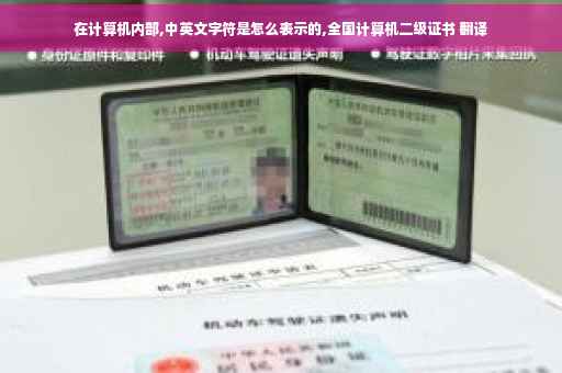 在计算机内部,中英文字符是怎么表示的,全国计算机二级证书 翻译