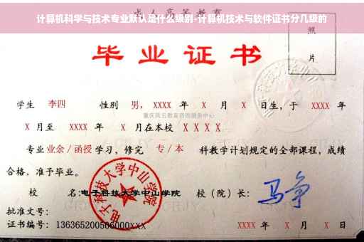 计算机科学与技术专业默认是什么级别-计算机技术与软件证书分几级的