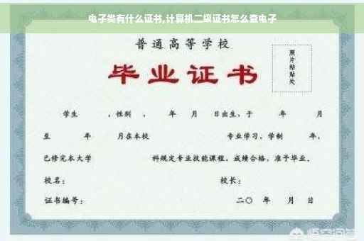 电子类有什么证书,计算机二级证书怎么查电子