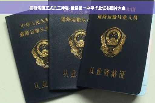 榆能集团正式员工待遇-佳县第一中学毕业证书图片大全