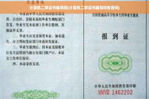 计算机二级证书辅导班(计算机二级证书辅导班有用吗)