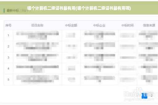 哪个计算机二级证书最有用(哪个计算机二级证书最有用呢)
