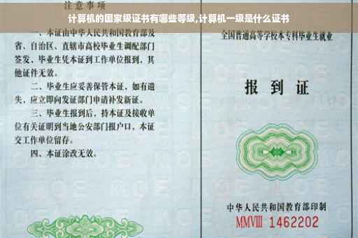计算机的国家级证书有哪些等级,计算机一级是什么证书
