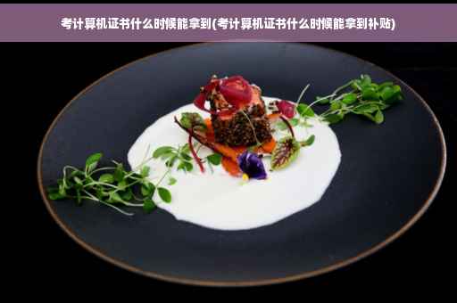 考计算机证书什么时候能拿到(考计算机证书什么时候能拿到补贴)