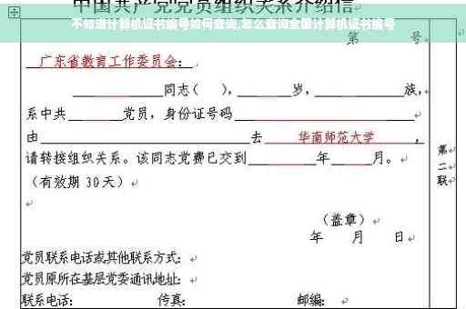 不知道计算机证书编号如何查询,怎么查询全国计算机证书编号