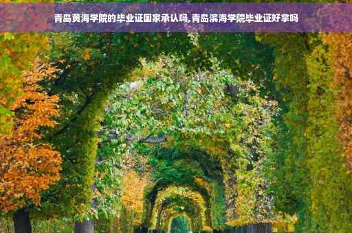 青岛黄海学院的毕业证国家承认吗,青岛滨海学院毕业证好拿吗