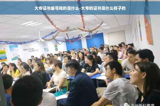 大专证书编号指的是什么-大专的证书是什么样子的