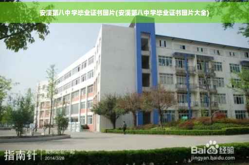 安溪第八中学毕业证书图片(安溪第八中学毕业证书图片大全)