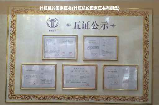 计算机的国家证书(计算机的国家证书有哪些)