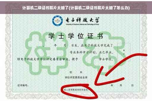 计算机二级证书照片太暗了(计算机二级证书照片太暗了怎么办)