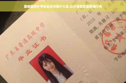 桑植第四中学毕业证书图片大全,白沙湖景区需要通行吗