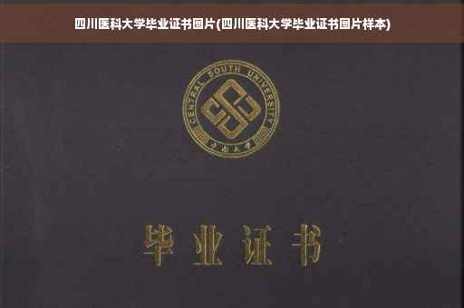 四川医科大学毕业证书图片(四川医科大学毕业证书图片样本)