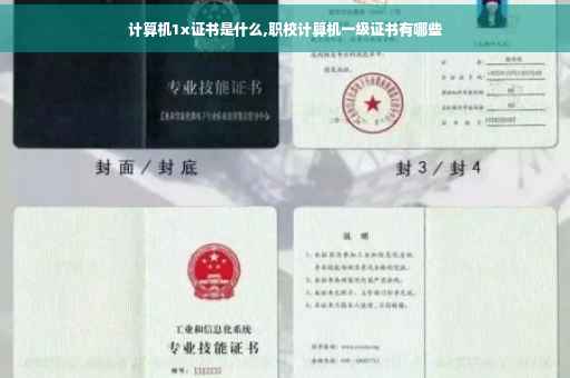 计算机1x证书是什么,职校计算机一级证书有哪些