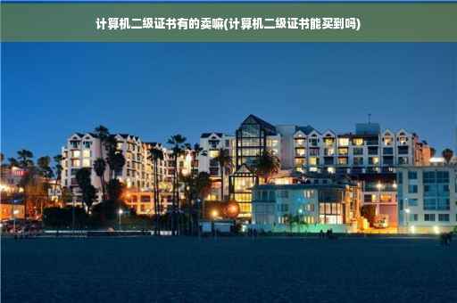 计算机二级证书有的卖嘛(计算机二级证书能买到吗)