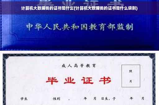 计算机大数据类的证书是什么(计算机大数据类的证书是什么级别)